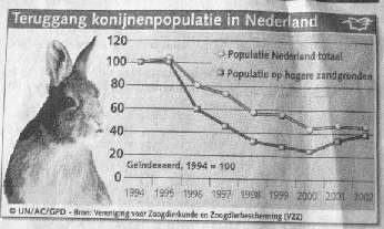 Het aantal konijnen in Nederland daalt dramatisch. Dierenkliniek Wilhelminapark Utrecht