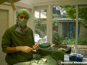 Hond sterilisatie: De operatiekamer kijkt uit op de tuin